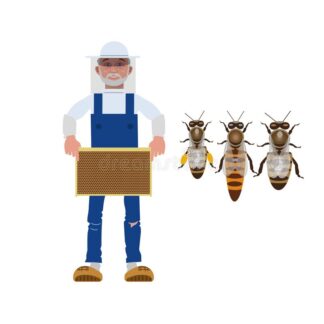 Corsi di apicoltura e varie