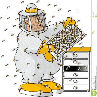 Abbigliamento per apicoltori